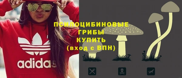 хмурый Лиски