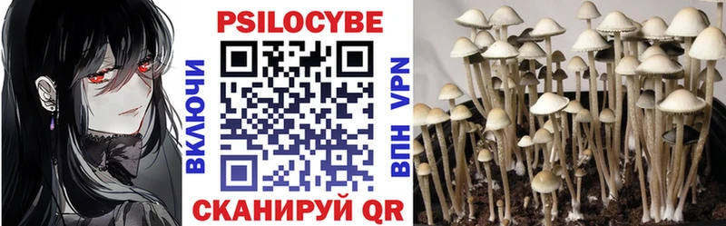 Купить где  Кувшиново  Псилоцибиновые грибы мухоморы 